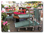 Flip Top Garden Center Cart